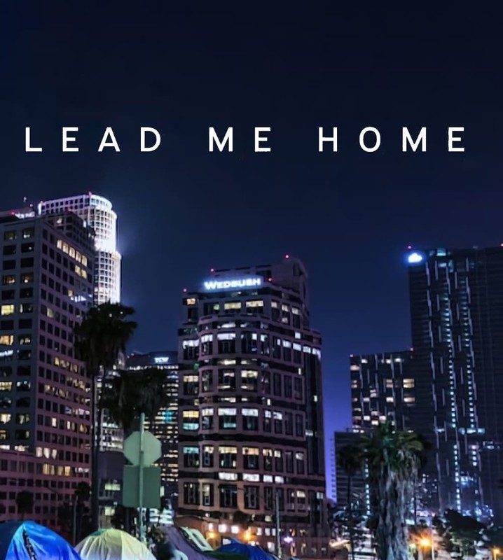 Cartaz do documentário Lead Me Home
